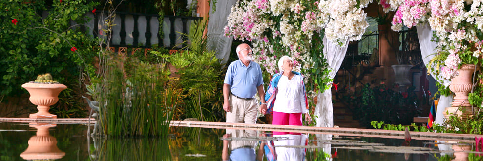 bodas y romance en puerto vallarta